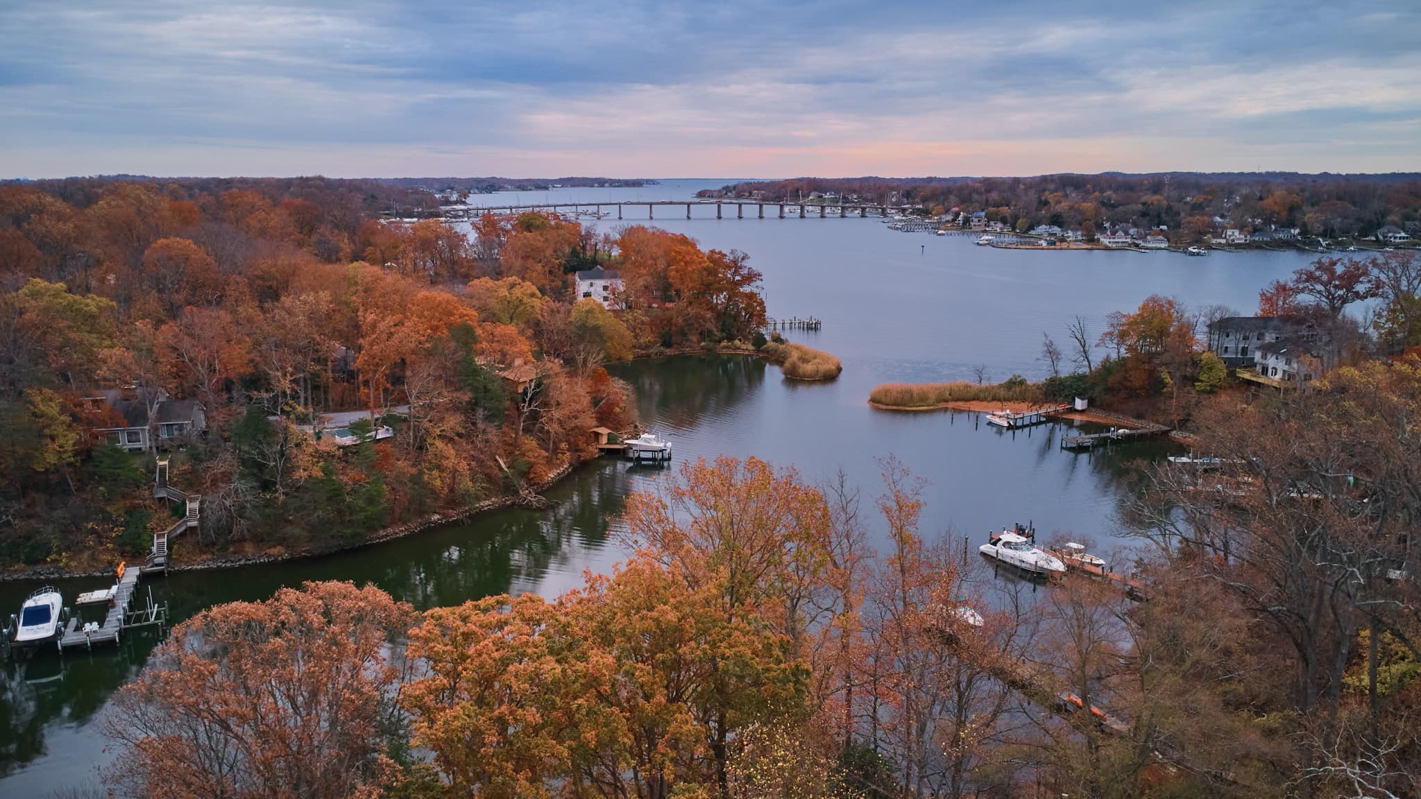 Aerial view of a wooded lake cove in autumn, with private docks and boats along the shore